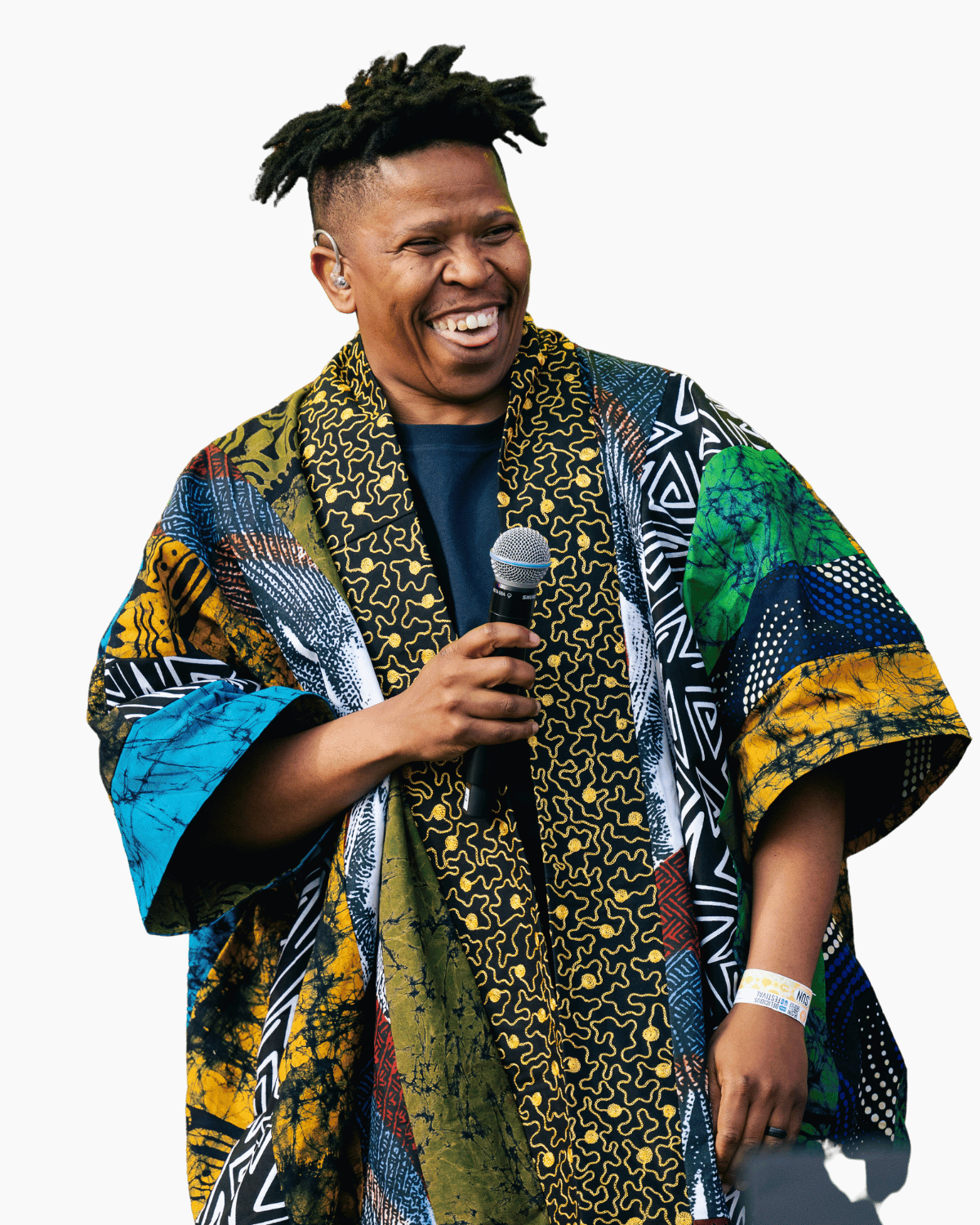 DStv Delicious Festival Artists