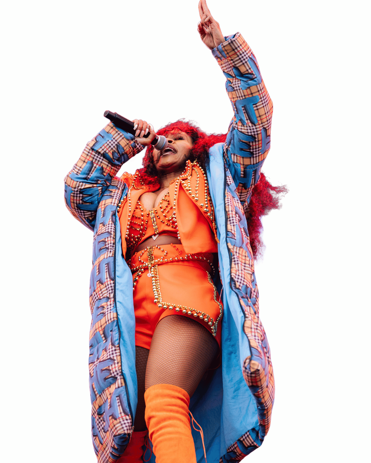 DStv Delicious Festival Artist